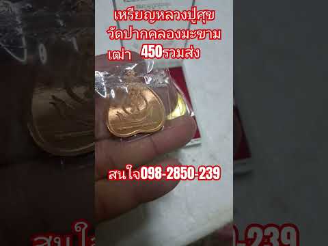 เหรียญรูปใบโพธิ์หลวงปู่ศุขวัดปากคลองมะขามเฒ่าปี2566