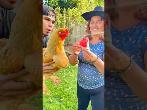 Vídeos que não deram certo (com a minha mãe) #62