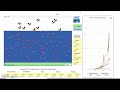 Biomagnification and DDT Concentration