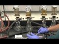 Coliform Bacteria Testing Procedures