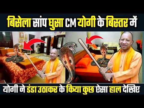 बिसेला सांप घुसा CM योगी के बिस्तर में | योगी ने डंडा उठाकर के किया कुछ ऐसा हाल देखिए | Dhara News