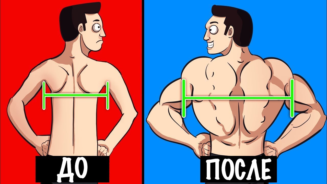 ШИРОКАЯ СПИНА. 10 СТРАТЕГИИ ТРЕНИРОВКИ