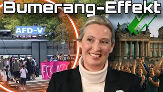 Bumerang-Effekt: AfD erreicht Höchstwert nach ARD-Sabotage