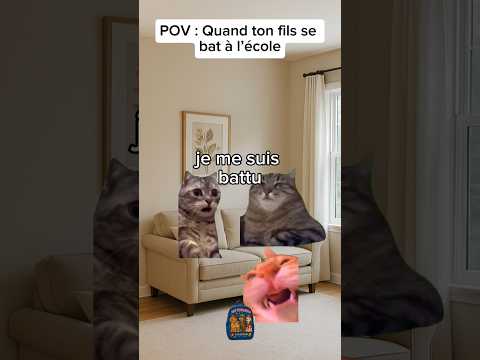 POV : Quand ton fils se bat à l’école #humour #drole #sketch #pov #catmemes