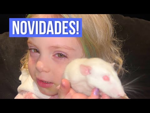 VOLTAMOS! E COM UM NOVO B!!!