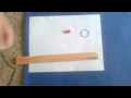 Rubber Band Energy and Motion