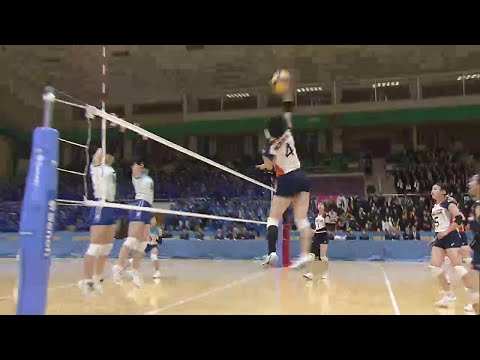 春高バレー女子・盛岡誠桜が5連覇　粘る高田を振り切る　岩手県大会決勝 (25/11/03 19:25)