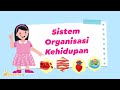 Sistem Organisasi Kehidupan