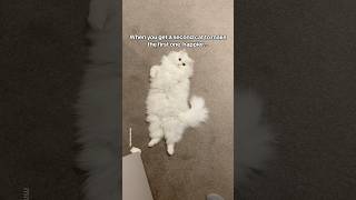this moment with the rug is my favourite hahaha