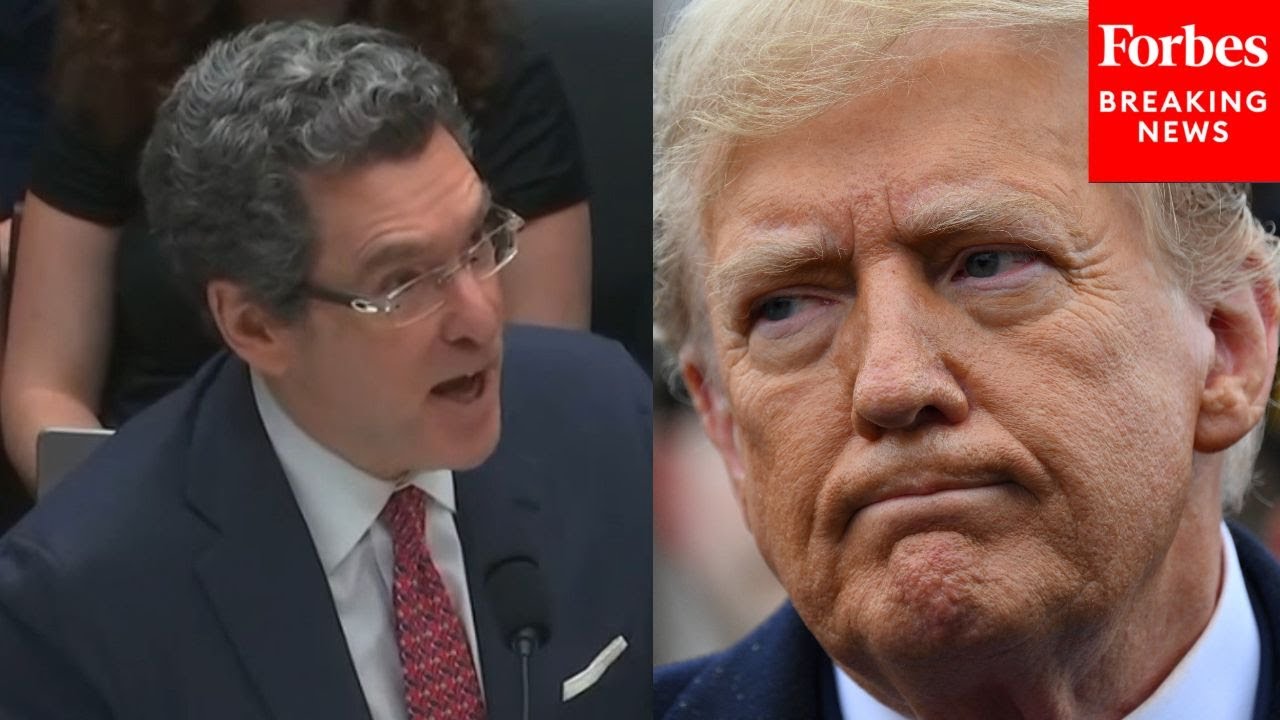 Dem Lawmaker Asks Witness To ‘Help Correct That Specific Fallacy’ Of GOP Arguments On Trump’s Trial