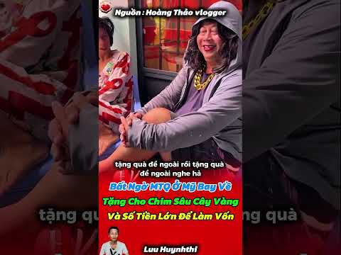 MTQ ở Mỹ Bay về tặng Chim Sâu Cây Vàng và Số Tiền Làm Ăn !!#shorts #luuhuynhthi
