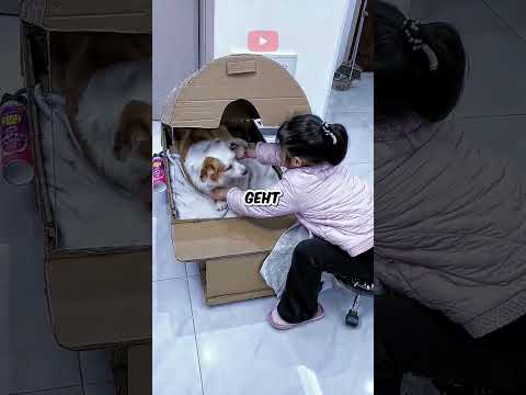 Roboterhaus für Hund 😲
