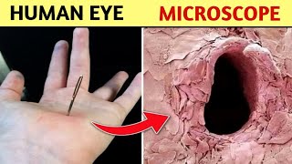 20 Things You Can Only See Under Microscope 🔬 | Worldkfactz
