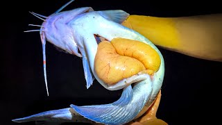 アメリカナマズの卵を食べてみた結果、まさかの結末…