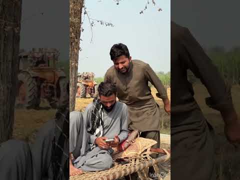 The rice thief was punished at will.😢😢#shorts