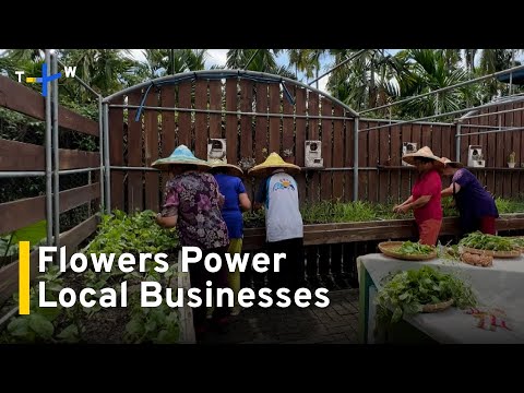 YouTube video thumbnail:  Pingtung Residents Use Local Herb To Empower Community