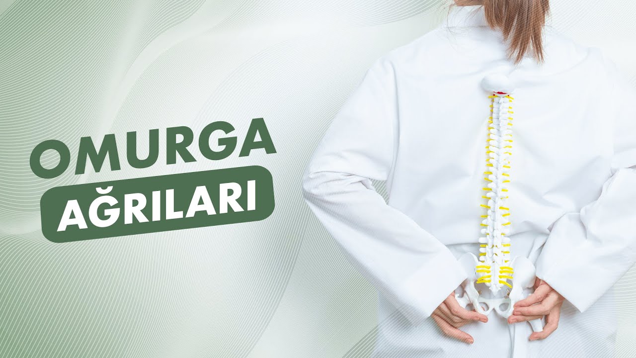 Hangi Omurga Ağrılarında Doktora Başvurmalıyız?
