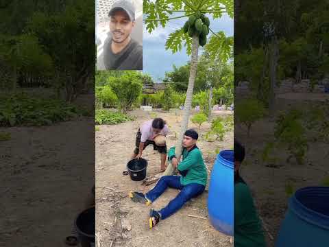 চুরি করতে এসে ঠকে  গেছে