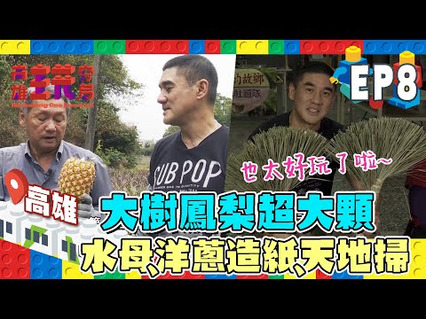 【高雄玩夯局】吳大維五感大爆發！原來有倒立水母？！鳳梨是這樣施肥的！！傳純天星掃真的不能失傳啊～～EP8｜吳大維