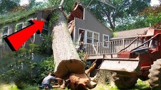 Dangerous Fastest Big Chainsaw Cutting Tree Falling, Idiots Tree Falling on Houses Compilation
