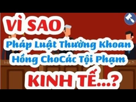 ✔Vì sao PHÁP LUẬT Thường Khoan Hồng Cho Các Tội Phạm KINH TẾ || Giaitritv9086