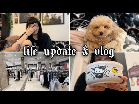 my life is falling apart | life update, shop with me, halloween haul