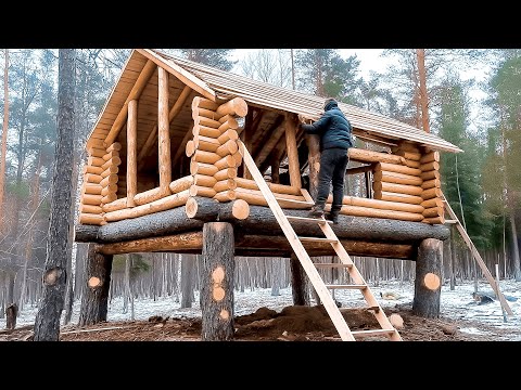 Man Builds Amazing Log House in Forest | Start to Finish by @bushcraftua1