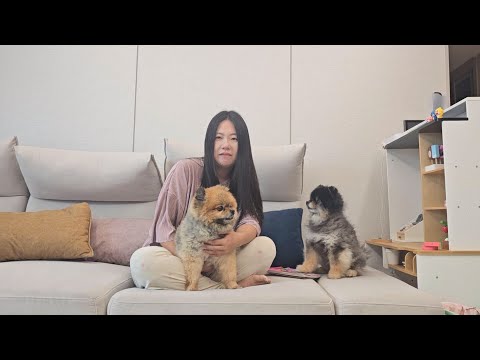 사실 오쏠이가 심장병이에요..