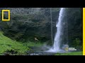 Facing Fears and Nature's Wonders