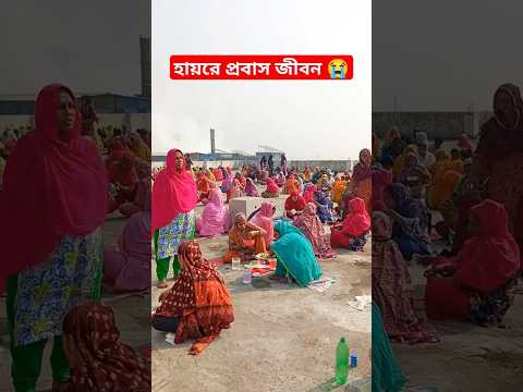 প্রবাসী মহিলারা মাটিতে বসে ভাত খাচ্ছে ?