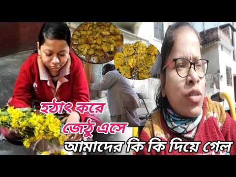 হঠাৎ করে জেঠু এসে আমাদের কি কি দিয়ে গেল ।। Bengali Vlog