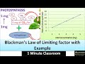 Photosynthesis and Limiting Factors