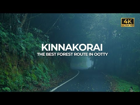 Kinnakorai | Ootty Forest Route | The Last Village In Nilgiri | Vlog#92