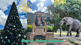 Animal Kingdom | WDW January 2026 | Vlog