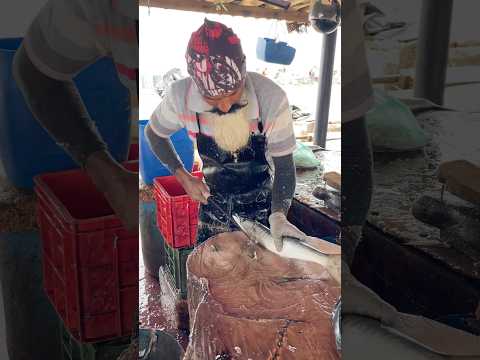 Amazing Skills! 😲 Barracuda Fish Cutting Mastery by an Expert Fish Cutter #fishcutting #streetfood