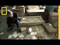 Cultural Heritage and Armed Conflict