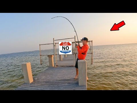 Monsters Were Hiding Around This US Government Pier!