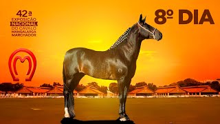 42° EXPOSIÇÃO NACIONAL DO CAVALO MANGALARGA MARCHADOR | 8º DIA Pepê Figueiredo