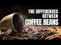 Coffee Bean Characteristics and Preferences