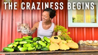 BIG Canning Day! Easy Recipes for PICKLES and RELISH