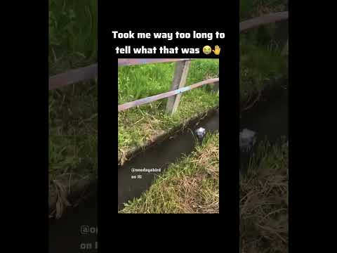 #actingchallenge