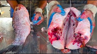 Big Rohu Fish Cutting By Machine In Bangladesh l Amazing Fish Cutting Skills