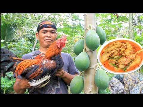 pepaya mondol ayam kampung santan pedas keripik bayam