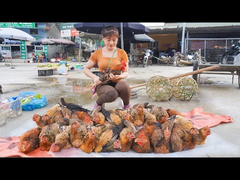 Harvesting Chicken Goes To Market Sell - Plant beans to replace melon garden - Cooking