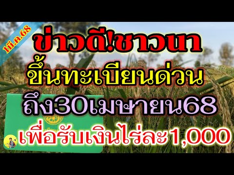 ชาวนากลุ่มนี้เตรียมรับเงินไร่ละ1,000อีกครั้ง(2มี.ค.68)