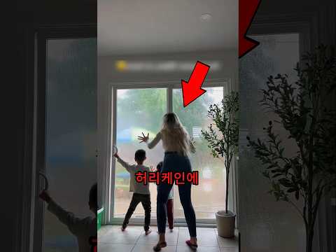그들은 깜짝 놀랐고, 이 일이 일어났습니다! 🚪😨