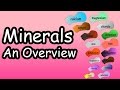 Essential Minerals and Their Functions