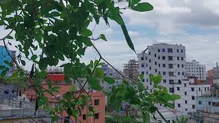 natural scenery of Bangladesh today