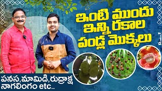 ఇంటి ముందు ఇన్ని రకాల పండ్లమొక్కలు - పనస, మామిడి, రుద్రాక్ష, నాగలింగం etc. Dr. Keshava Sai's Garden