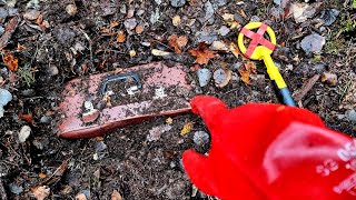Found in the forest strange case...